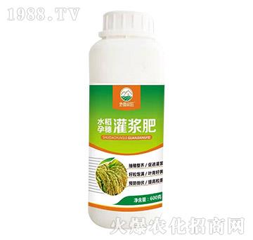 水稻孕穗灌漿肥-地喜家旺-科汛