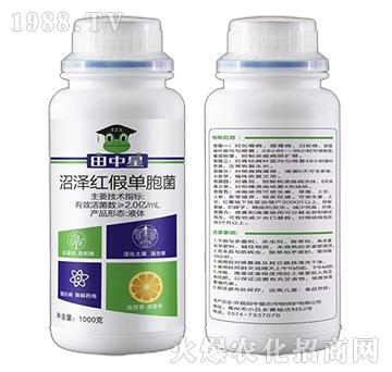 沼澤紅假單胞菌（1000克）-田中星