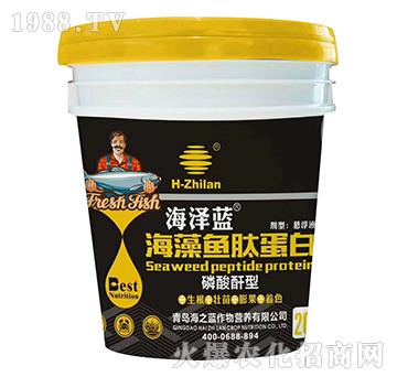 �������ͺ����~(y��)����-�����{(l��n)