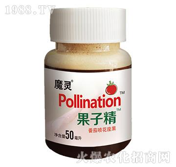 番茄噴花座果-果子精-魔靈-果美果麗