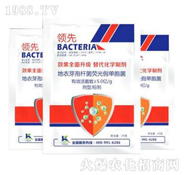 地衣芽孢桿菌熒光假單胞菌-柯易植保