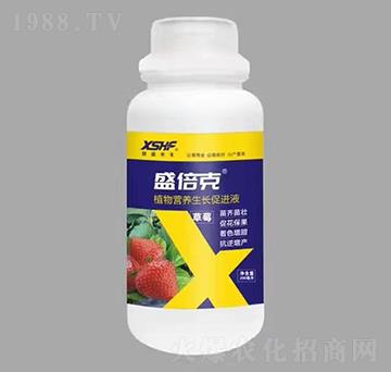 草莓專(zhuān)用植物營(yíng)養(yǎng)生長(zhǎng)促進(jìn)液-盛倍克-新盛禾豐