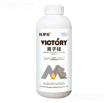 �x�ӹ�-���_��-�S������