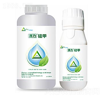 ِ�����-�����Ƽ�