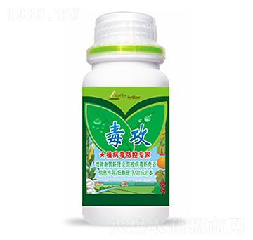 ����-�����Ƽ�