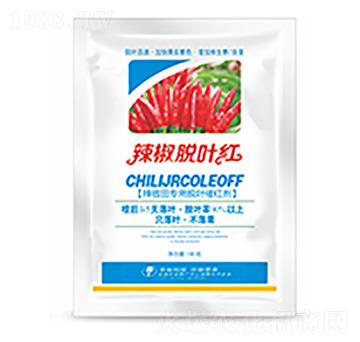 ����Ó�~�t-�����Ƽ�