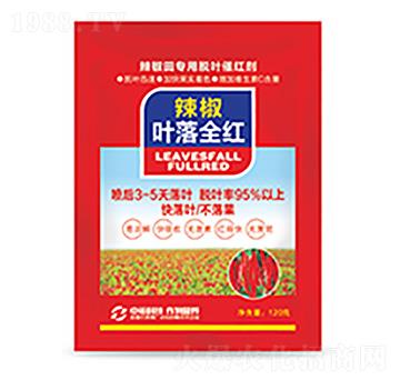 �����~��ȫ�t-�����Ƽ�