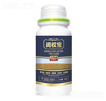 �辌�-�����Ƽ�