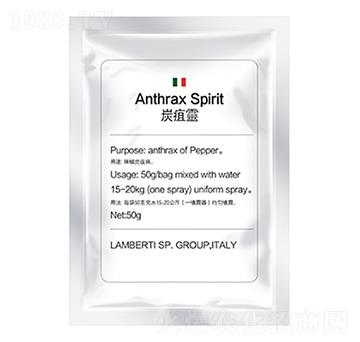 ̿���`-�����Ƽ�