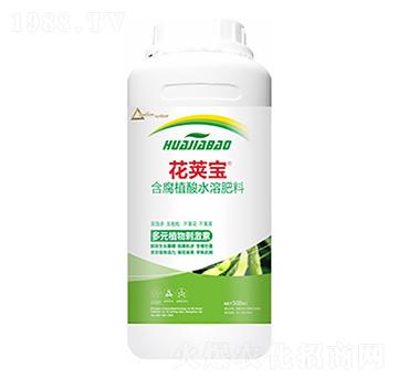 �󶹻�Ӣ��-�����Ƽ�