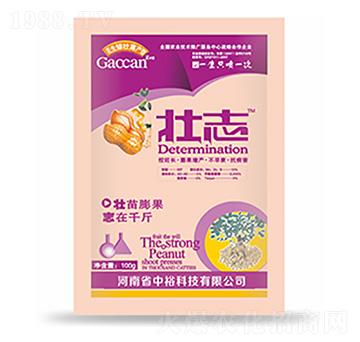 ��־-�����Ƽ�