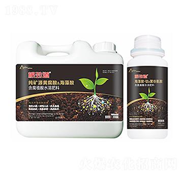 ���ŵ�-�����Ƽ�