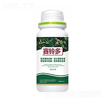 ِ⏶�-�����Ƽ�