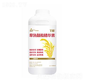 ����������A��-������