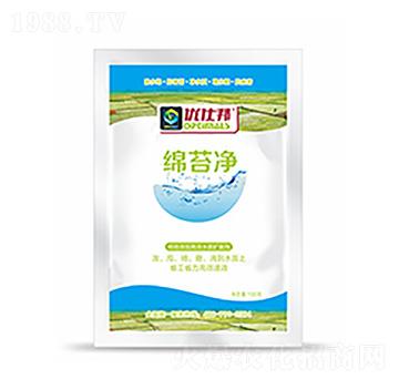 �d̦��-�����Ƽ�