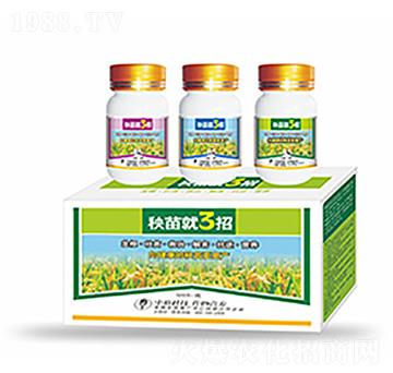 �����3��-�����Ƽ�