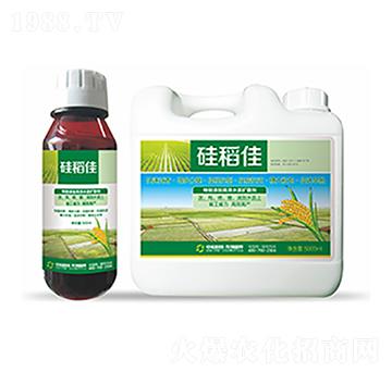 �赾��-��ԣ�Ƽ�