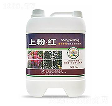 �Ϸۡ��t-�����Ƽ�