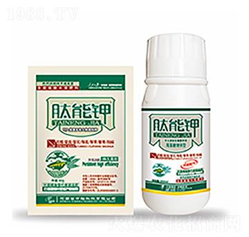 �����-�����Ƽ�