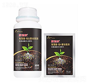 ������-�����Ƽ�