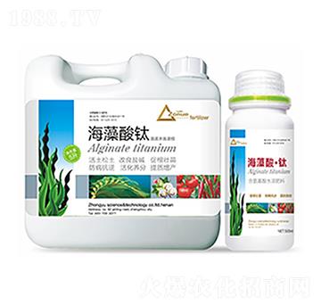 �������-�����Ƽ�