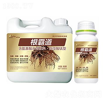 ���Ե�-�����Ƽ�