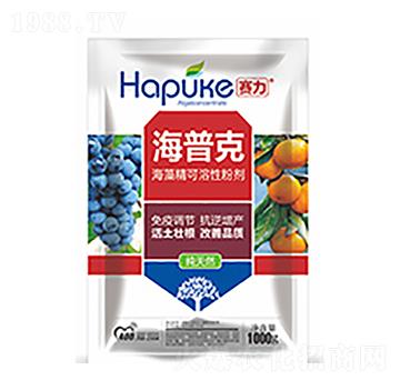 ِ�����տ�-�����Ƽ�