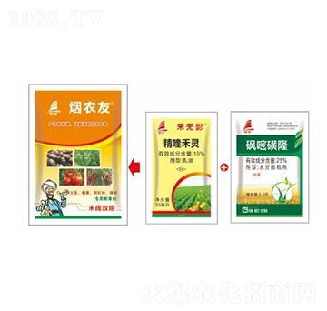 ~tsݽQ-r(nng)-ϲS