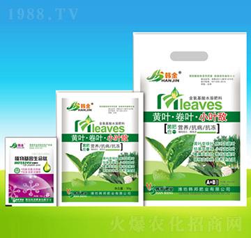 黃葉·卷葉·小葉敵-韓邦肥業(yè)