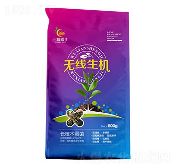 無線生機-三顆橘子