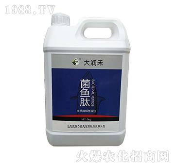 菌魚肽-多肽酶解魚蛋白-大潤禾