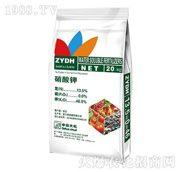 �����-���ƴ�