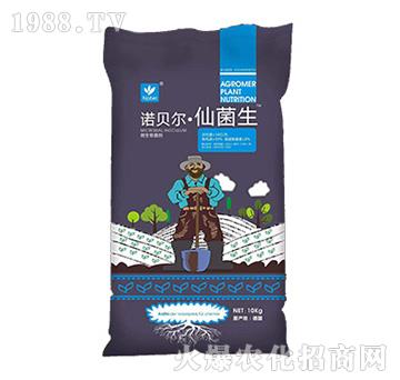 ΢�������-�Zؐ�����ɾ���