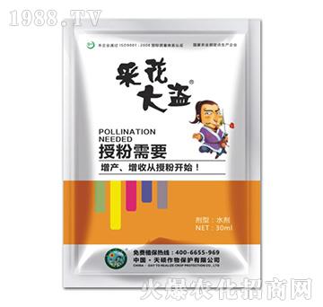 采花大盜-天碩作物