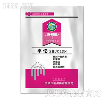 ׿��-�ð���-��T����