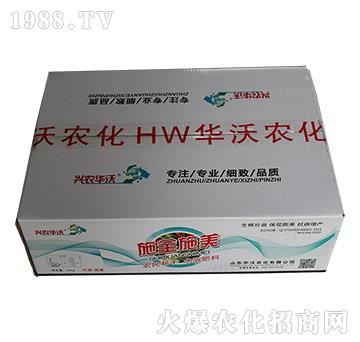 ʩȫʩ��-�A���r��