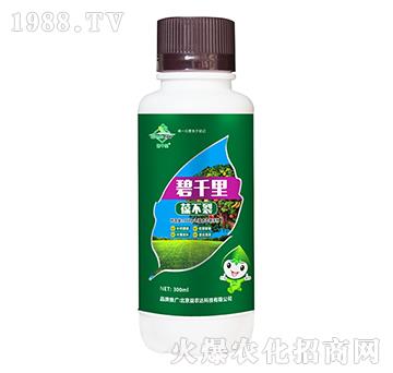 �̸����᲻��-���r�_