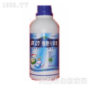 細(xì)胞分裂素-聯(lián)動(dòng)-德爾生物