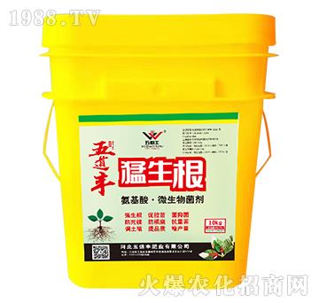 氨基酸·微生物菌劑-猛生根-五道豐