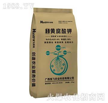 �����S�����-��ʩ��-���w�r�I(y��)