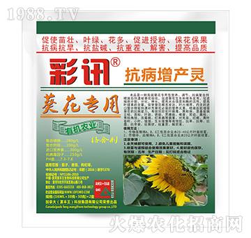 ������(zhu��n)�ÿ������a(ch��n)�`-��Ӎ-���S��