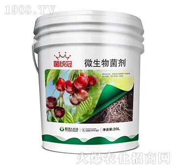 ΢�������-���y(t��ng)��-������