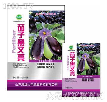 25g茄子黑又亮-田園季豐-大豐肥業(yè)