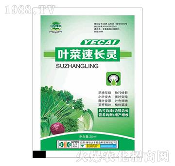 葉菜速長靈-田園季豐-大豐肥業(yè)