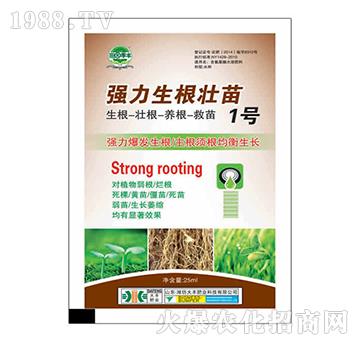 強(qiáng)力生根壯苗1號(hào)-田園季豐-大豐肥業(yè)
