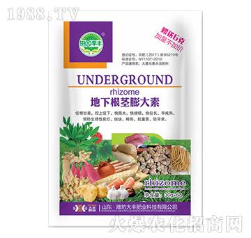地下根莖膨大素-田園季豐-大豐肥業(yè)