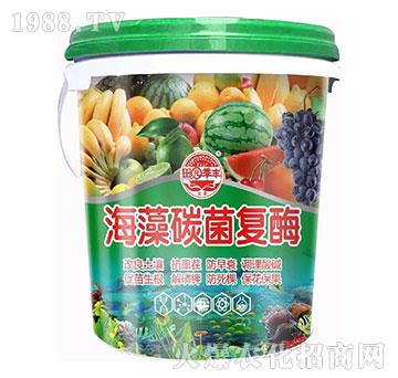 ����̼����(f��)ø-��@���S