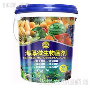 ����΢�������-��@��