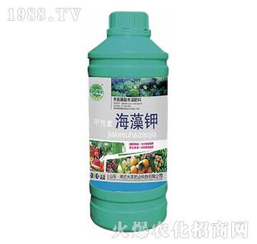 �ך��غ����-��@���S