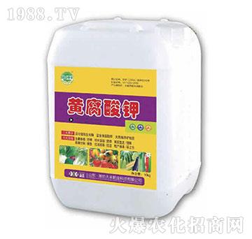 10kg�S�����-��@